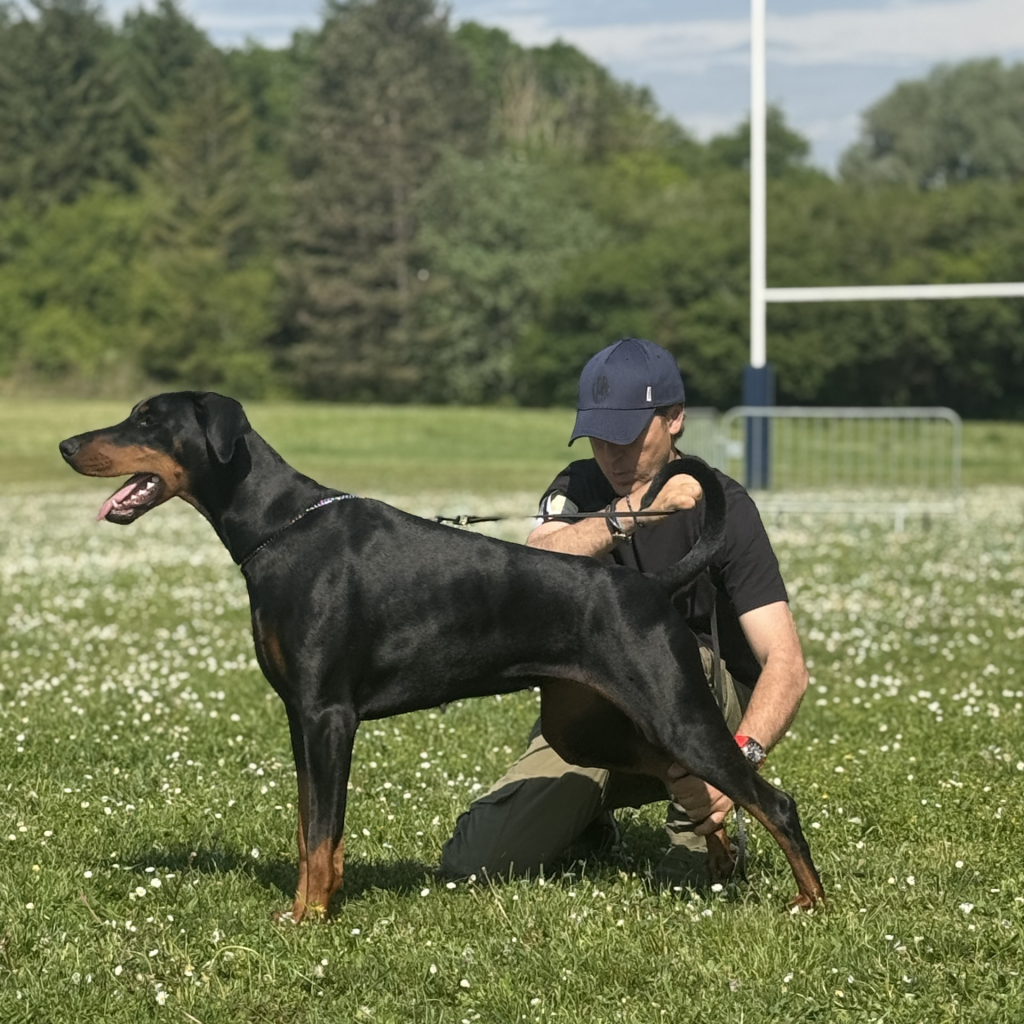 Tokyo VGR chiot 2023