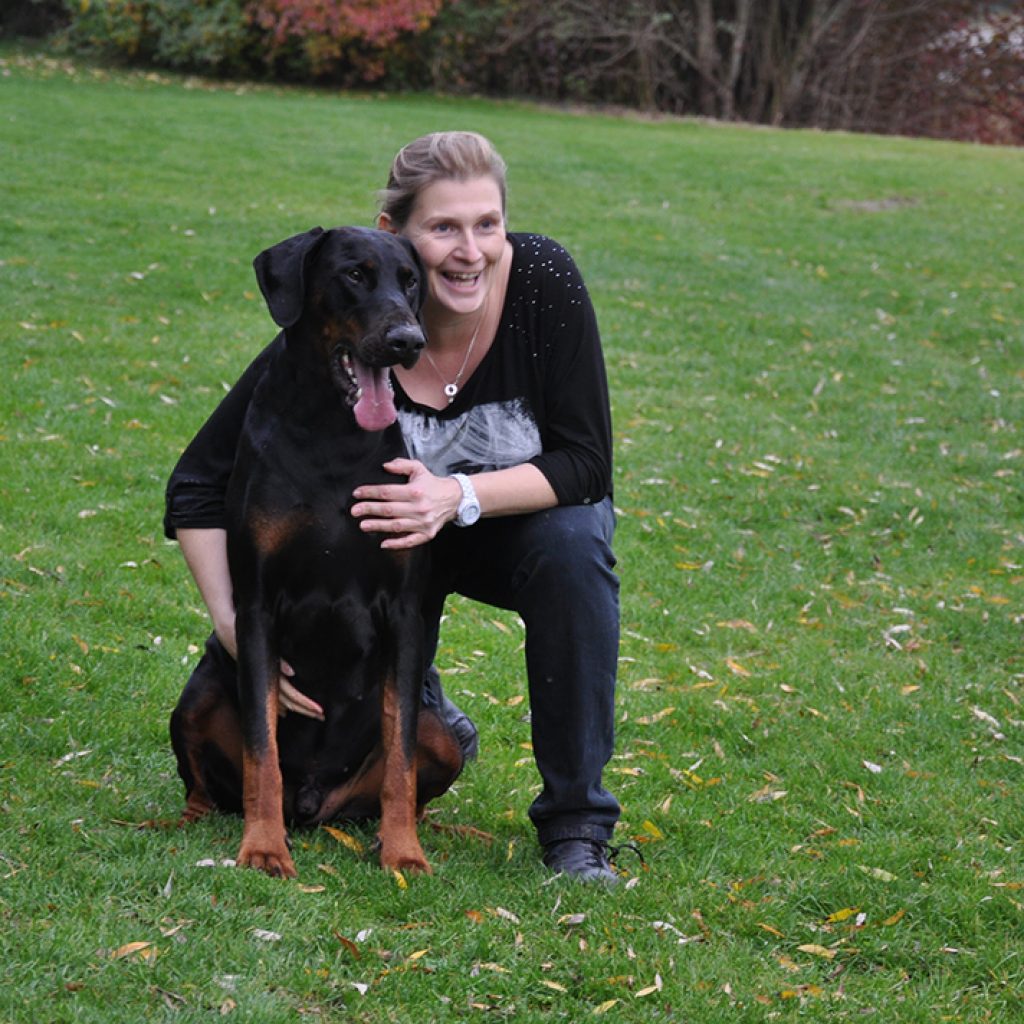 363 - élevage de dobermann en france